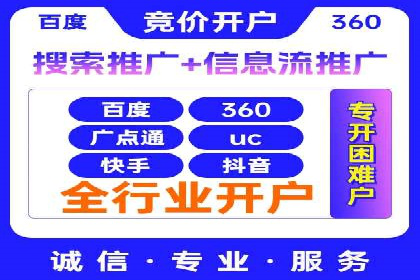 某电商平台的SEM策略与效果展示